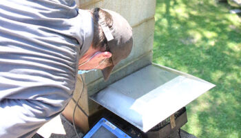 chimney inspection, websterny