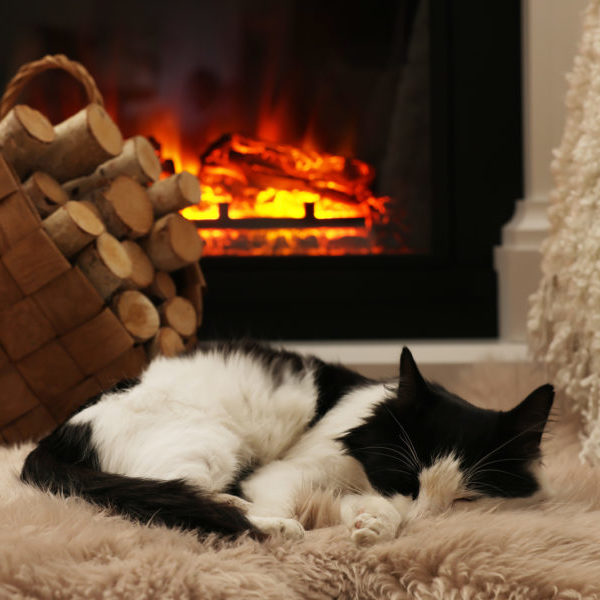 Cozy Fall Hearth, Williamsville, NY