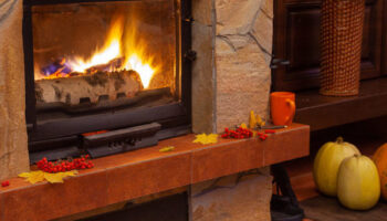 Wood Burning Fireplace,