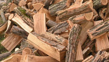 seasoned firewood in North Buffalo NY