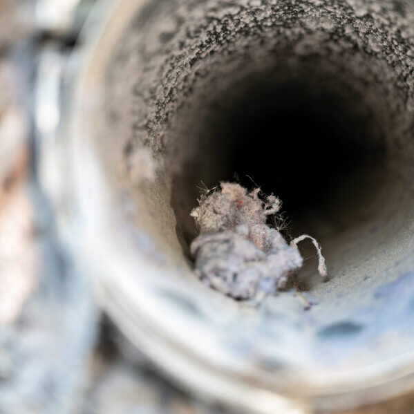 Professional Dryer Vent Lint Removal and Cleaning in Charlotte NC