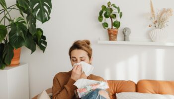Allergies and Fireplaces in Lewiston NY