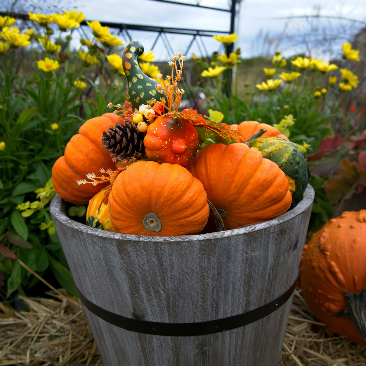 fall fireplace decorations in North Buffalo NY