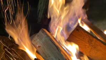 wood burning stove ash in Rochester, NY