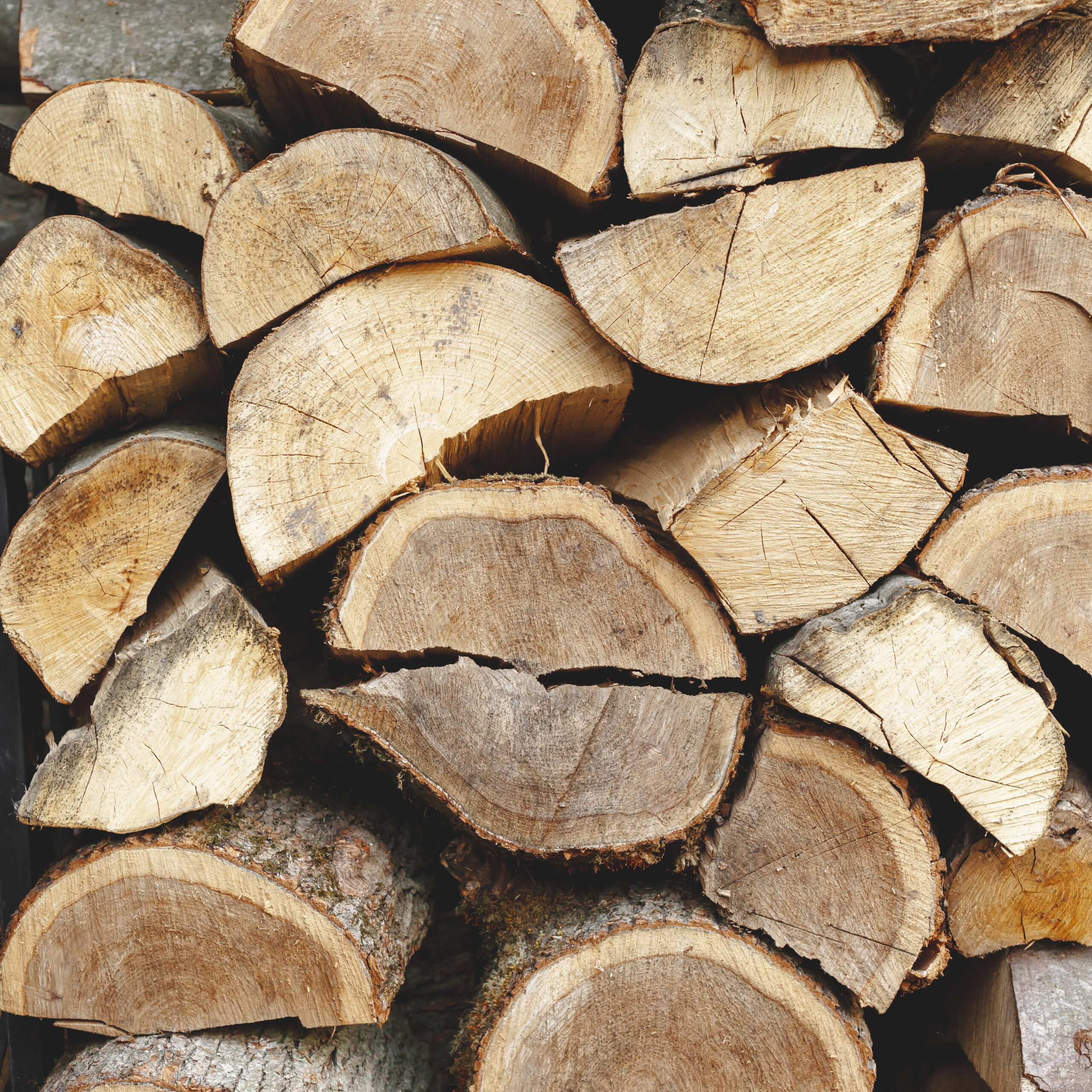 seasoned firewood for fireplace inserts in Rochester NY.