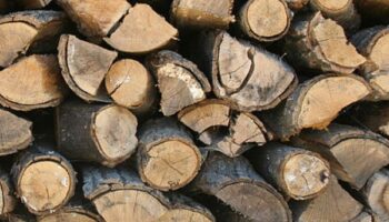 Firewood in Rochester, NY.